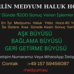 Almanya Berlin Medyum Hoca